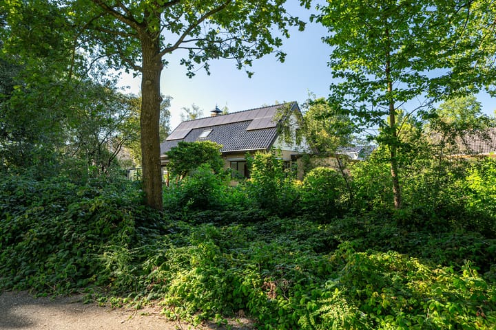 Foto 36 van De Poel 6