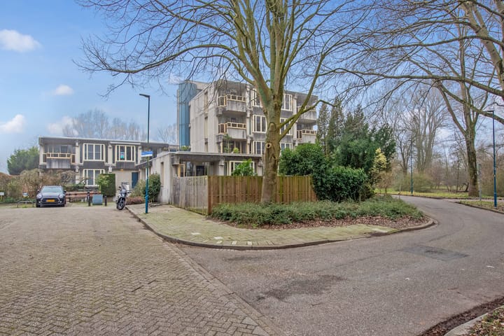 Foto 5 van Kinderen van Versteegplein 19