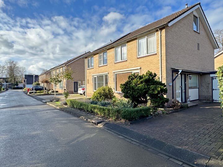 Foto 2 van Palmanovastraat 11