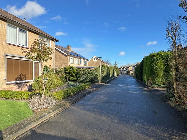 Foto 3 van Palmanovastraat 11