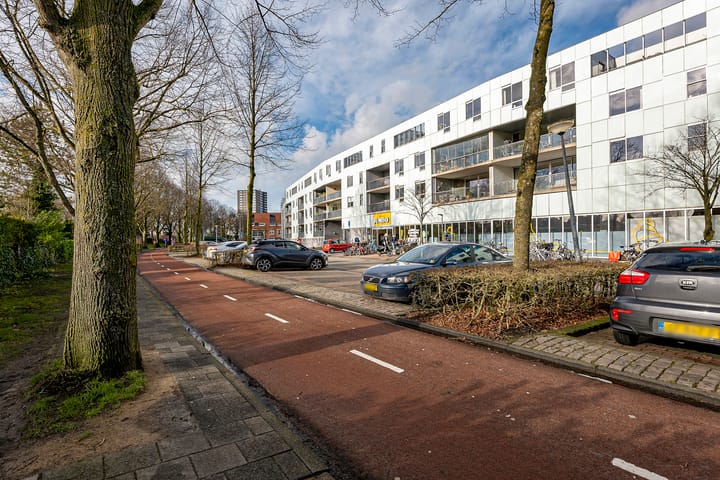 Foto 42 van Mondriaanstraat 51