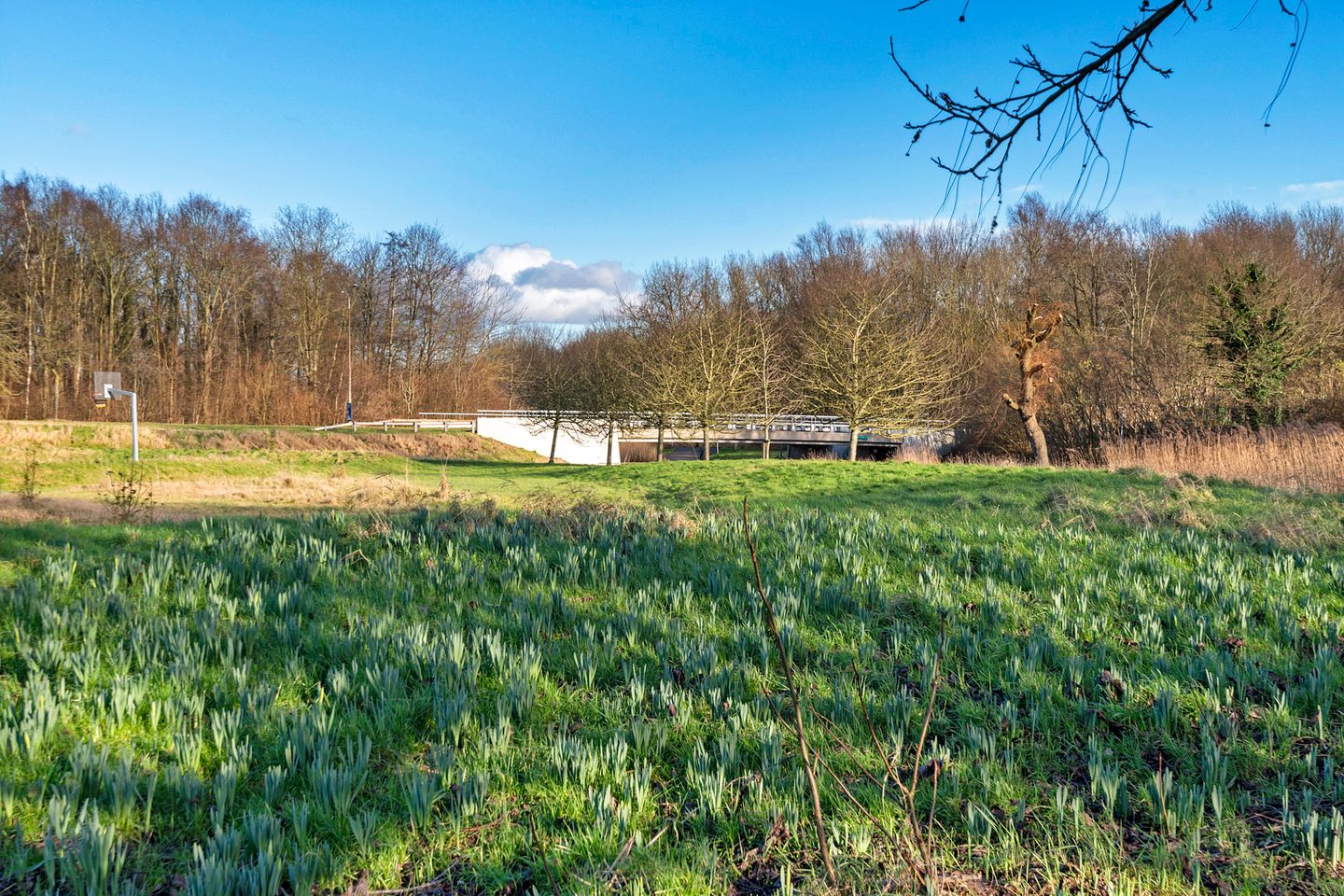 Foto 29 van Nocturnestraat 31