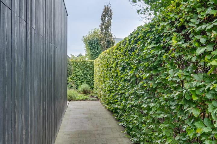 Photo 56 of Willem Sandbergstraat 23