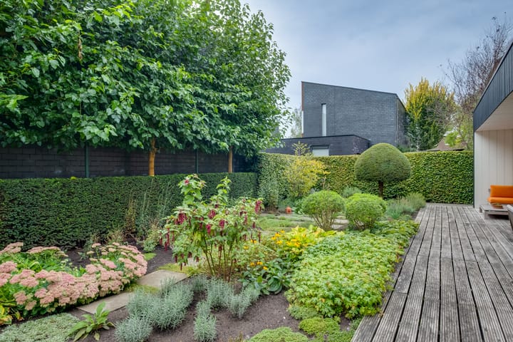 Photo 48 of Willem Sandbergstraat 23