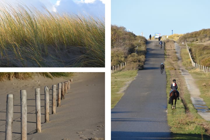 Foto 4 van Santhorsthof 19