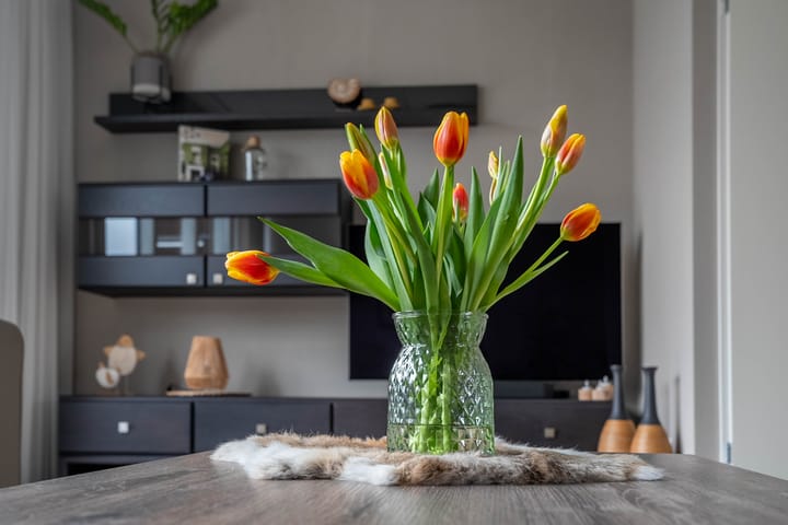 Foto 10 van Koningin Julianastraat 22