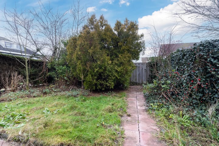 Foto 4 van Orchidee 3