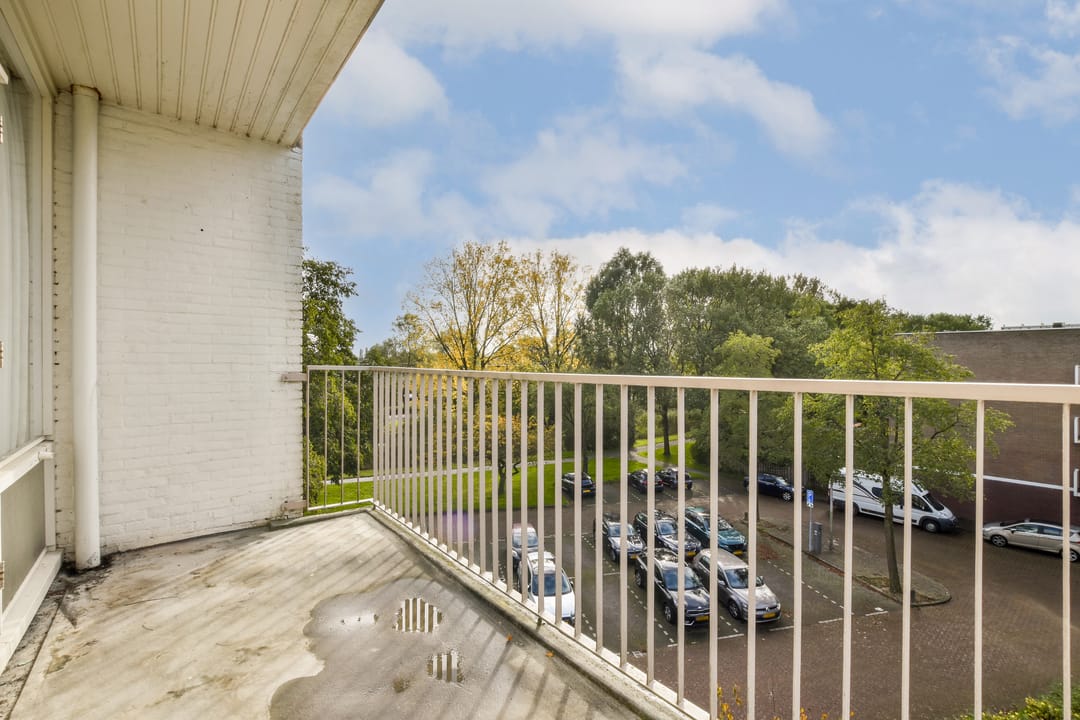 Foto 11 van Oostelijk Halfrond 197