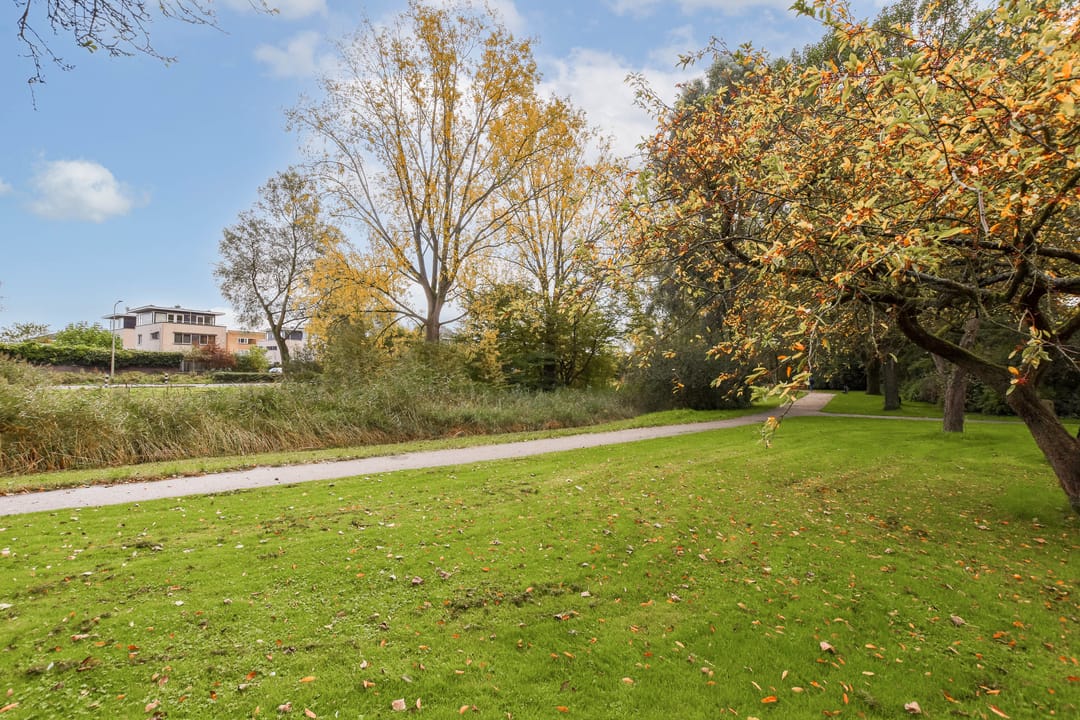 Foto 22 van Oostelijk Halfrond 197