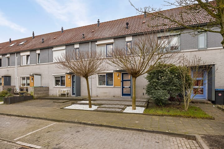 Foto 24 van Wintertaling 27