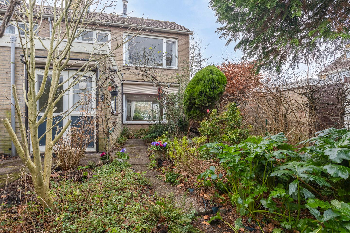 Foto 35 van Kadoelenstraat 18