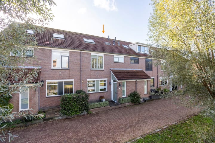 Foto 4 van Ooievaar 24