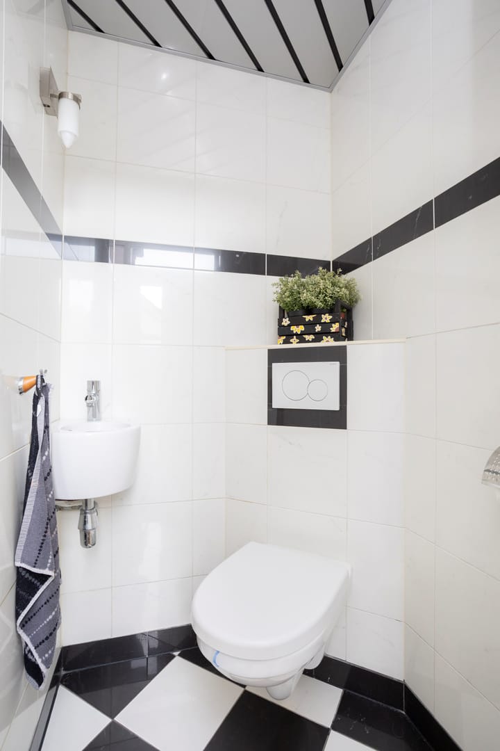 Foto 8 van Ooievaar 24