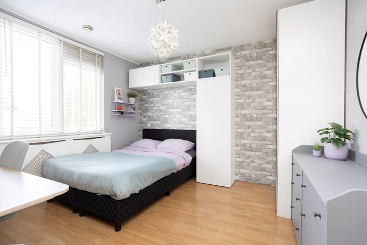 Foto 24 van Ooievaar 24