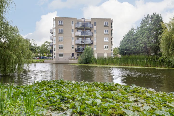 Foto 31 van S. Lootsmastraat 22