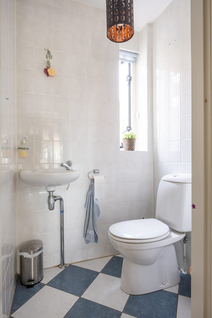 Foto 9 van Zijlsterried 31