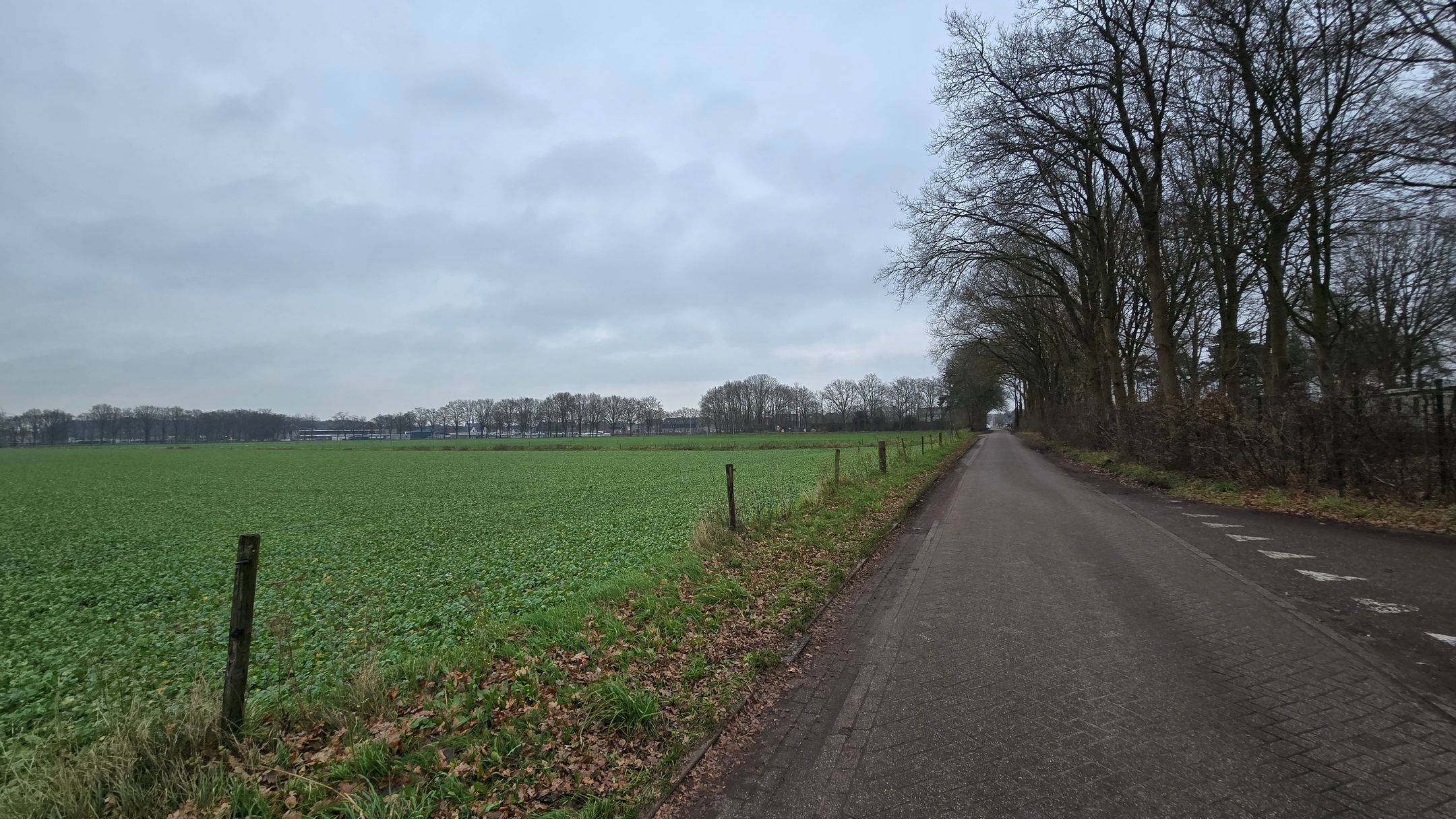 Foto 12 van Haspelstraat 30-117