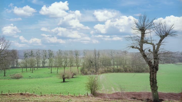 Foto 6 van Rimburgerweg 285