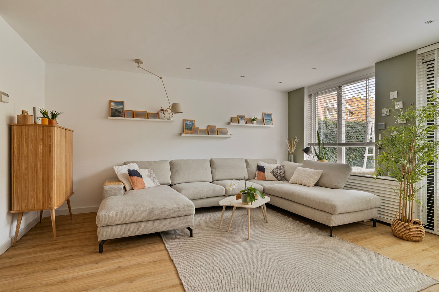 Foto 5 van Populierenhout 31