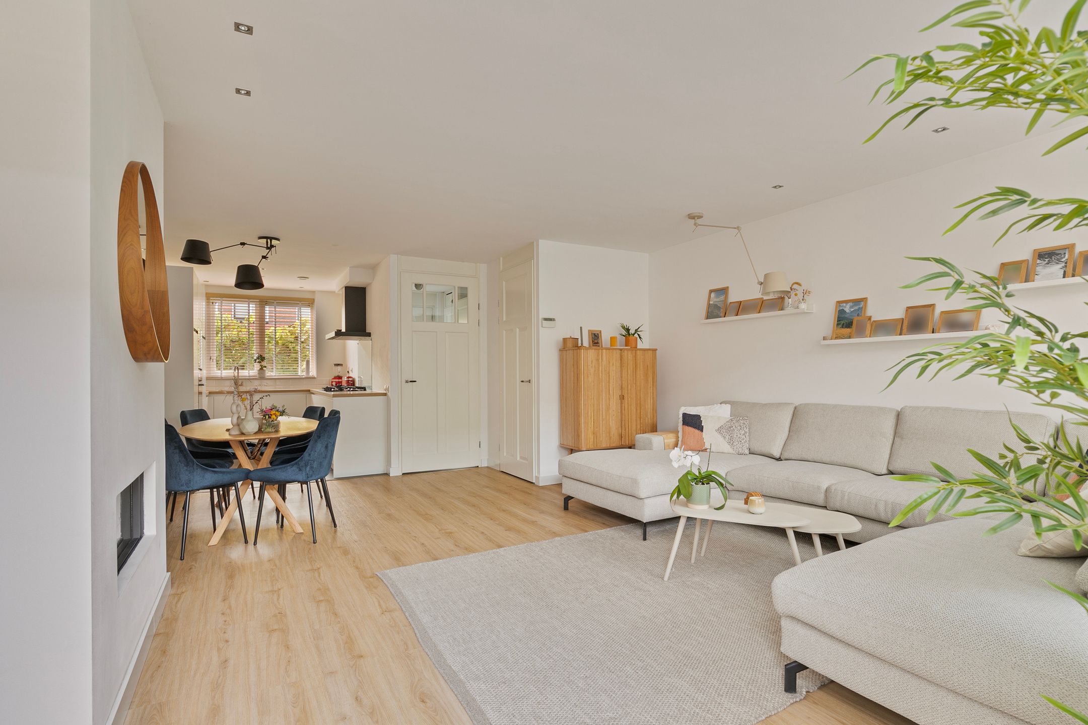 Foto 6 van Populierenhout 31