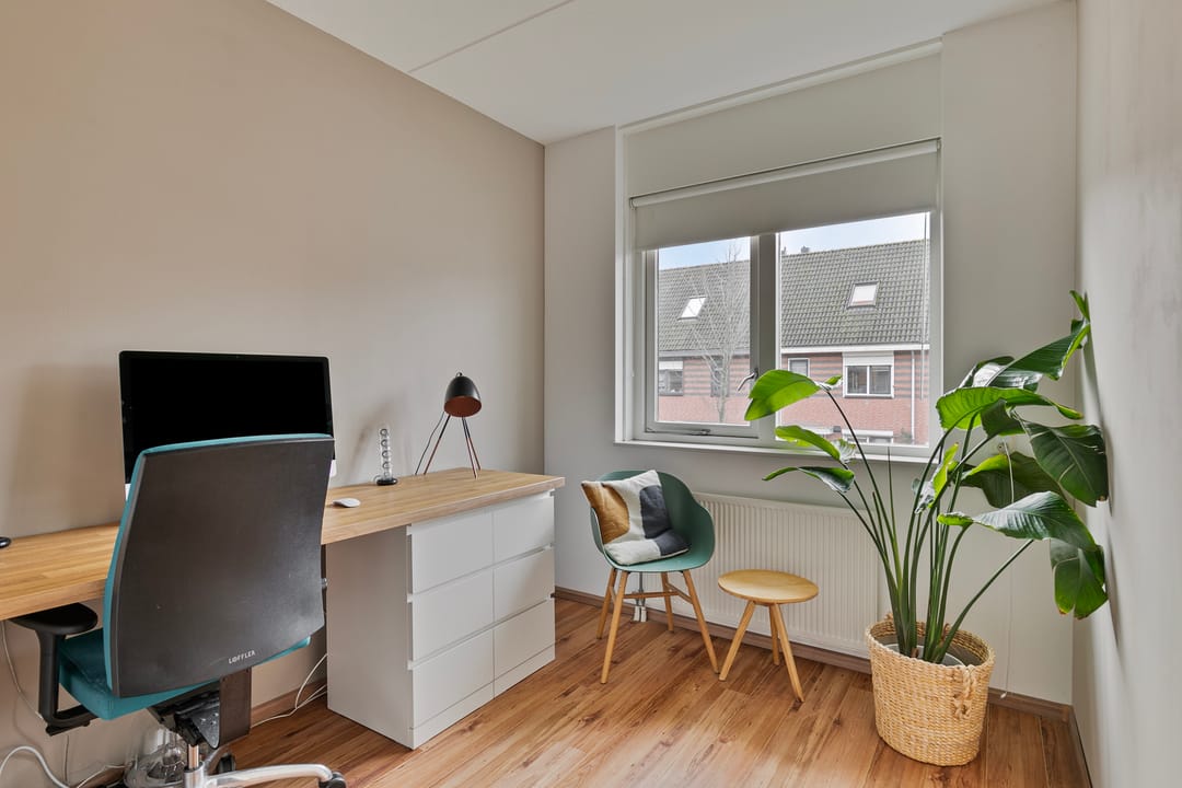 Foto 16 van Populierenhout 31