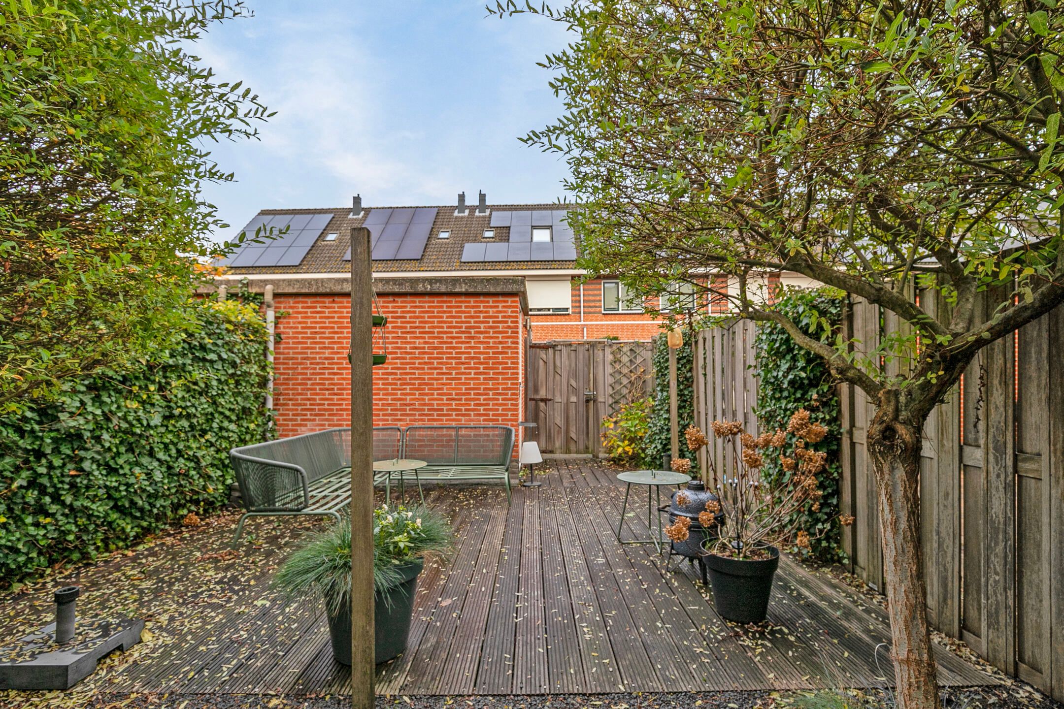 Foto 21 van Populierenhout 31