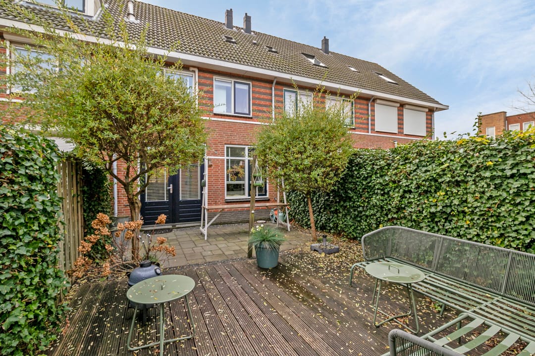 Foto 22 van Populierenhout 31