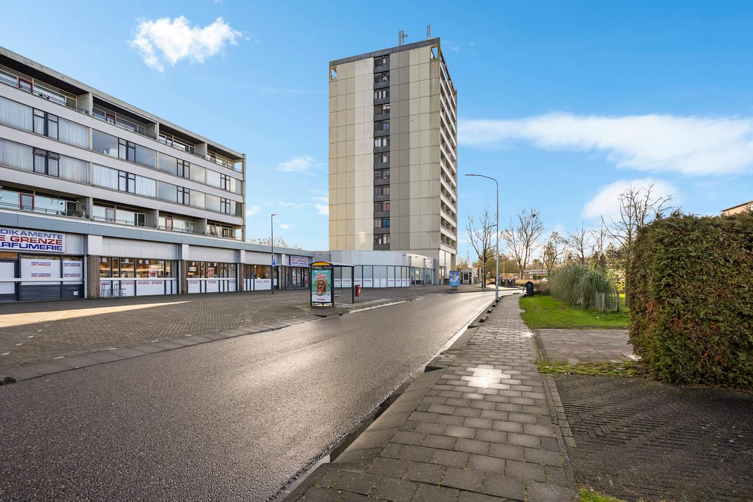 Foto 2 van Landschaplaan 42-A