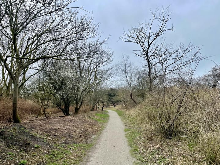 Foto 47 van Mozartlaan 65