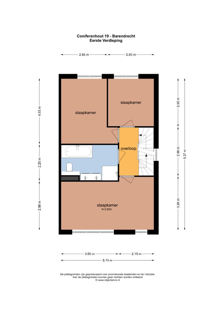 Foto 34 van Coniferenhout 19