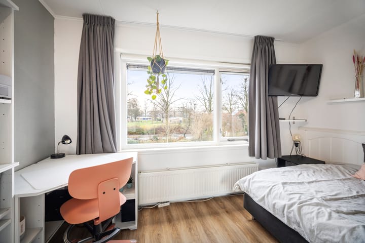 Foto 19 van Ruysdaelstraat 79