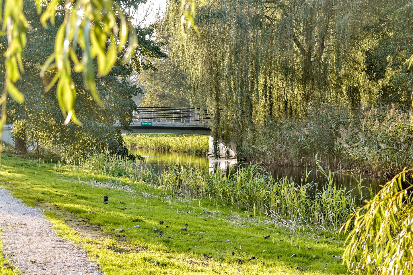 Foto 40 van J.B. Schuilstraat 10