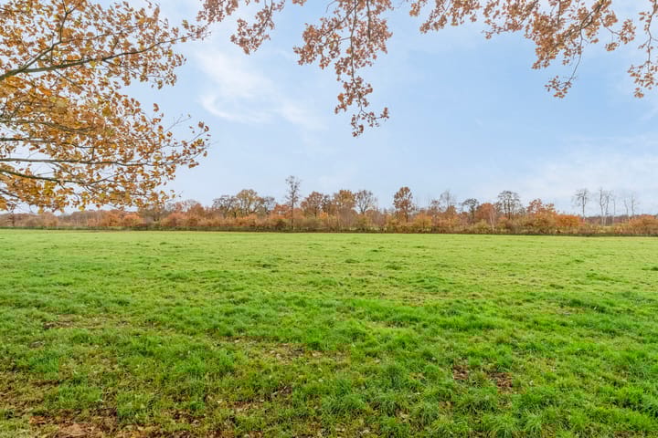 Foto 15 van Wyldekamp 11