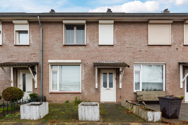 Foto 4 van Meerval 49