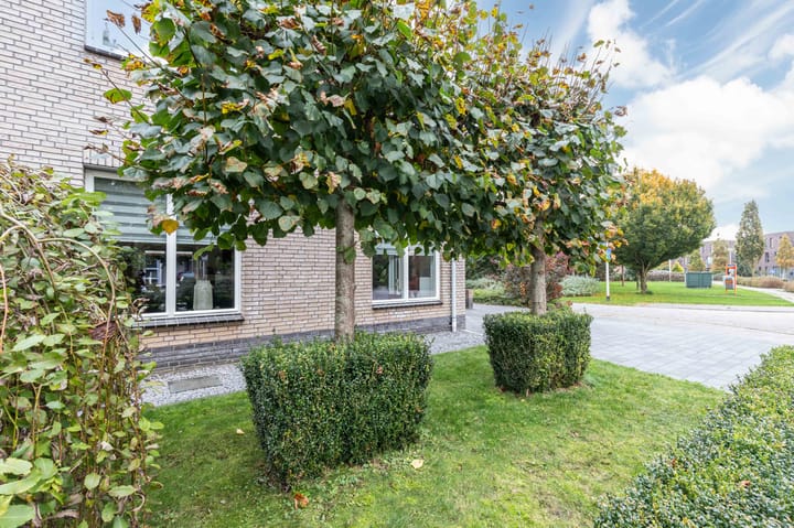 Foto 9 van Bosrank 15