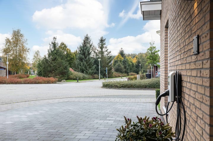 Foto 10 van Bosrank 15