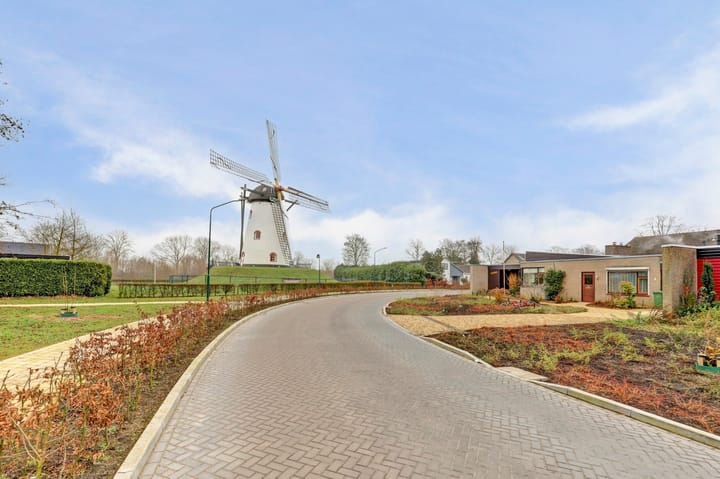 Foto 6 van Hazeleger 5