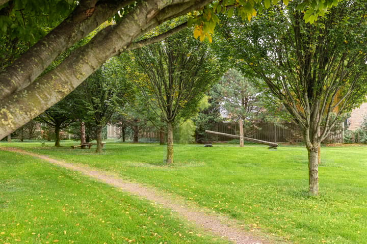 Foto 54 van Bosrank 15