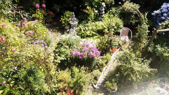 Foto 23 van Valeriaanstraat 23