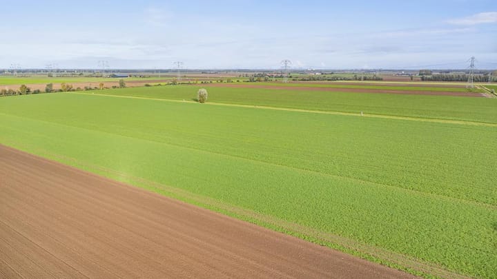 Foto 40 van Mookhoek 41