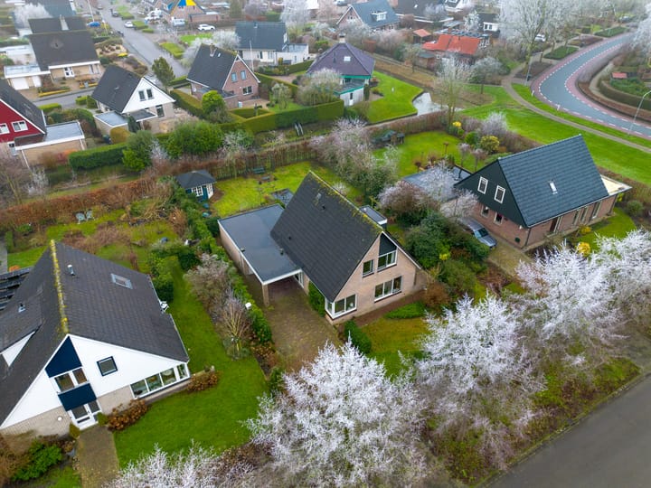 Foto 5 van Fluitekruid 32