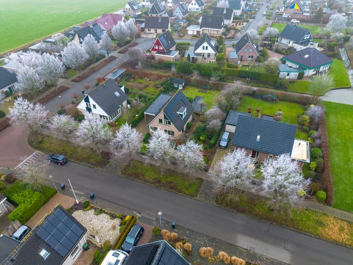 Foto 6 van Fluitekruid 32