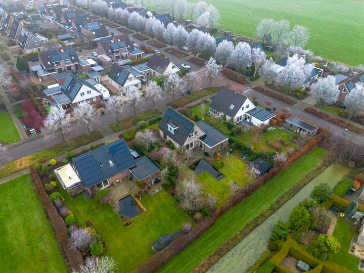 Foto 7 van Fluitekruid 32