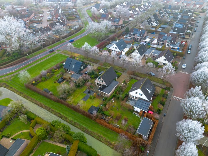 Foto 8 van Fluitekruid 32