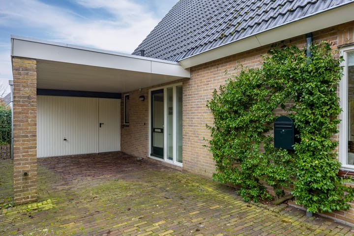 Foto 10 van Fluitekruid 32