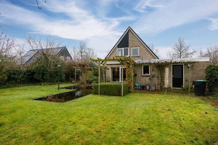 Foto 25 van Fluitekruid 32