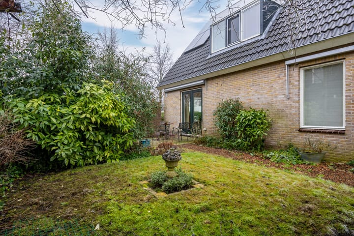 Foto 28 van Fluitekruid 32