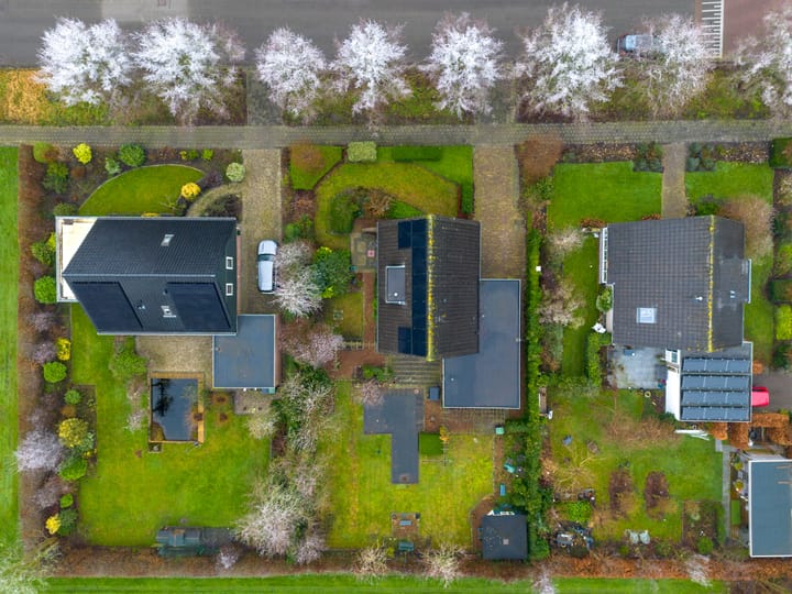 Foto 29 van Fluitekruid 32