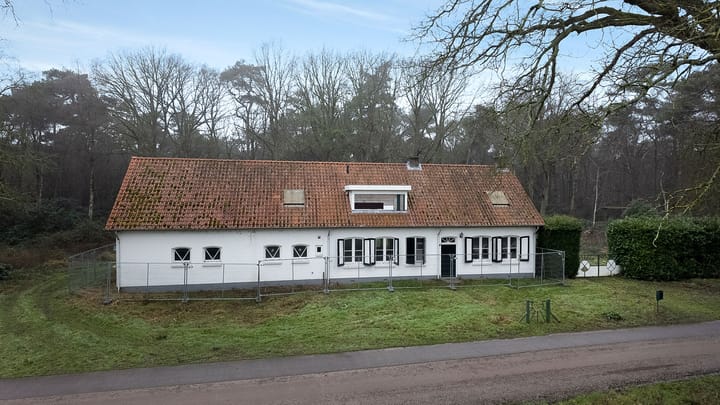 Foto 1 van Lange Steen 1