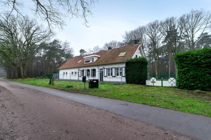 Foto 5 van Lange Steen 1